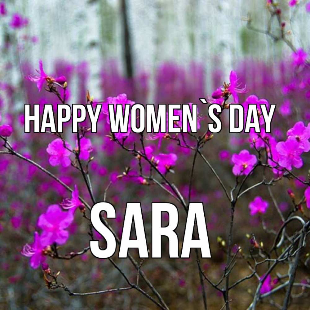 Greetings card с именем, Sara happy women`s day дикие цветы Greetings with text for free download 